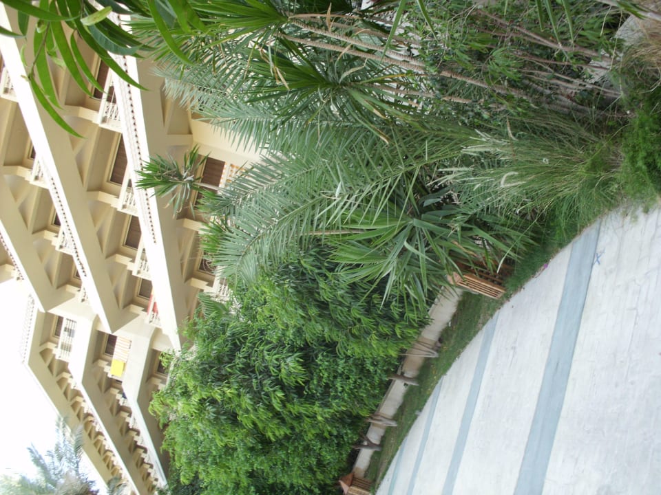 Hotel  Sindbad Club
