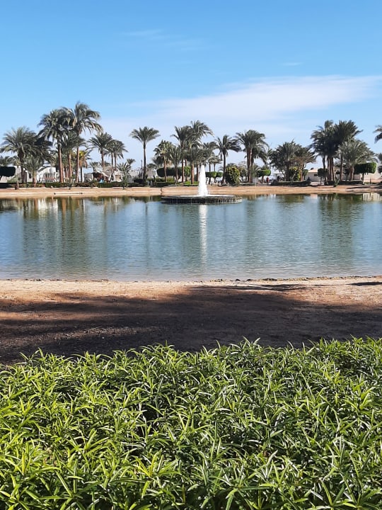 Gartenanlage Pharaoh Azur Resort