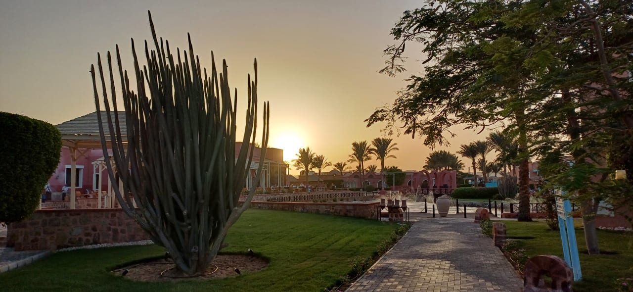 Gartenanlage Radisson Blu Resort, El Quseir