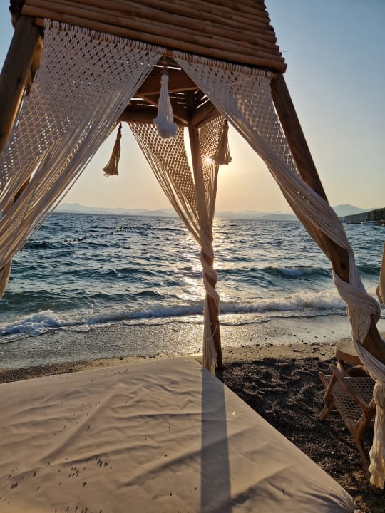 Sonstiges TUI MAGIC LIFE Bodrum - Adult Only (16+)
