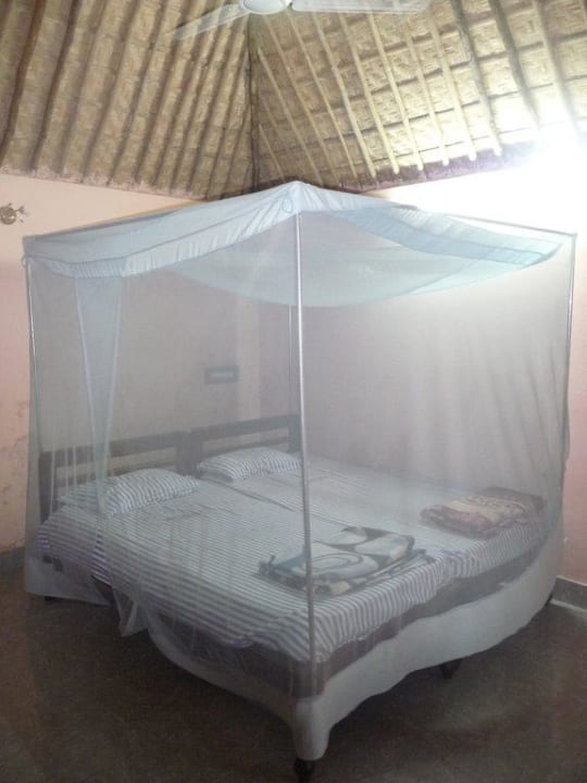 Bett mit Moskitonetz Shanti Guest House