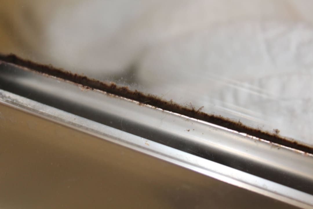 Dusche Zimmer 650 db San Antonio Hotel + Spa