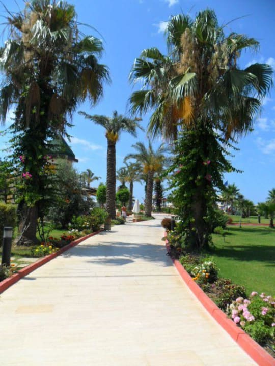 Garten sehr gepflegt  Saphir Resort & Spa