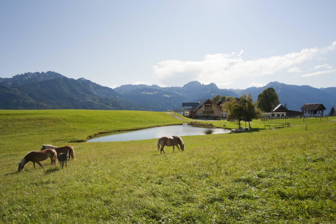 Unser Hof Mösslacherhof