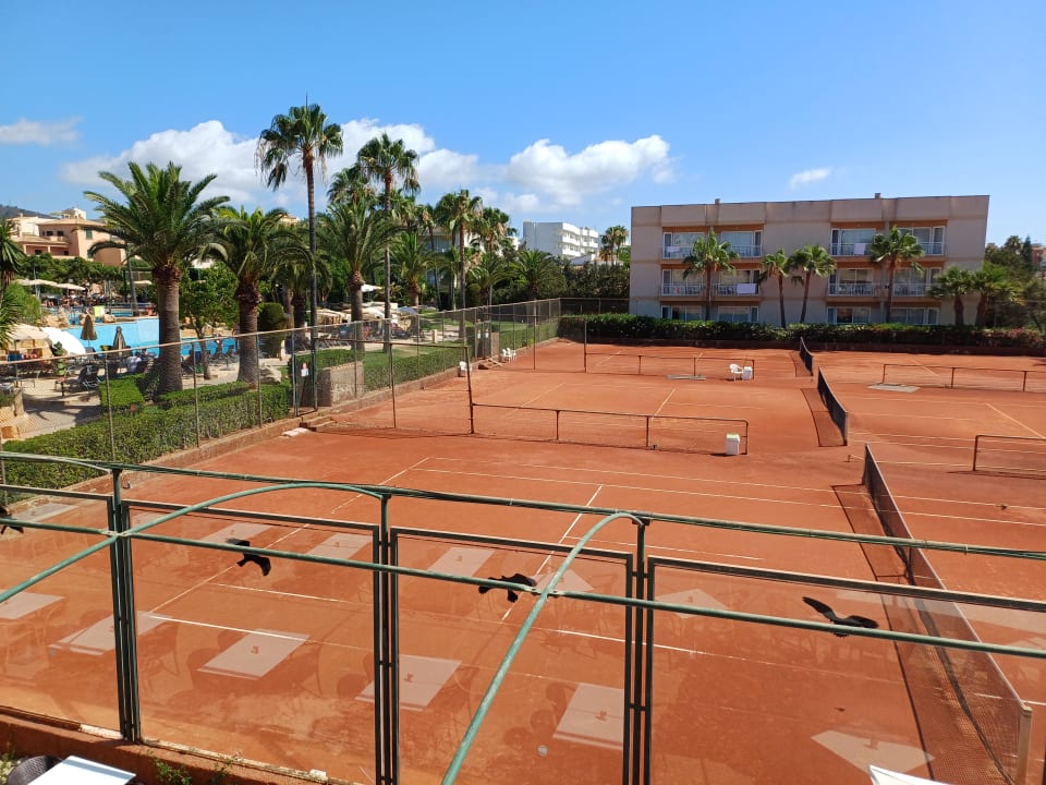 Sport & Freizeit Club Simó Hotel by Senator