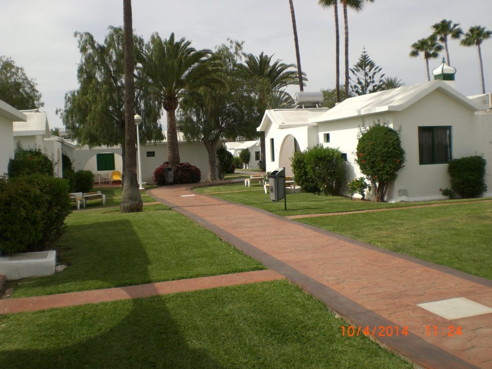 Canary Garden club Canary Garden Club