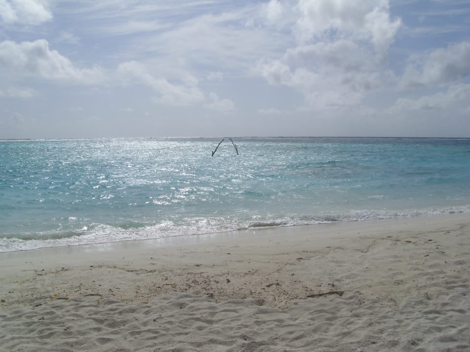 Strand Summer Island Maldives