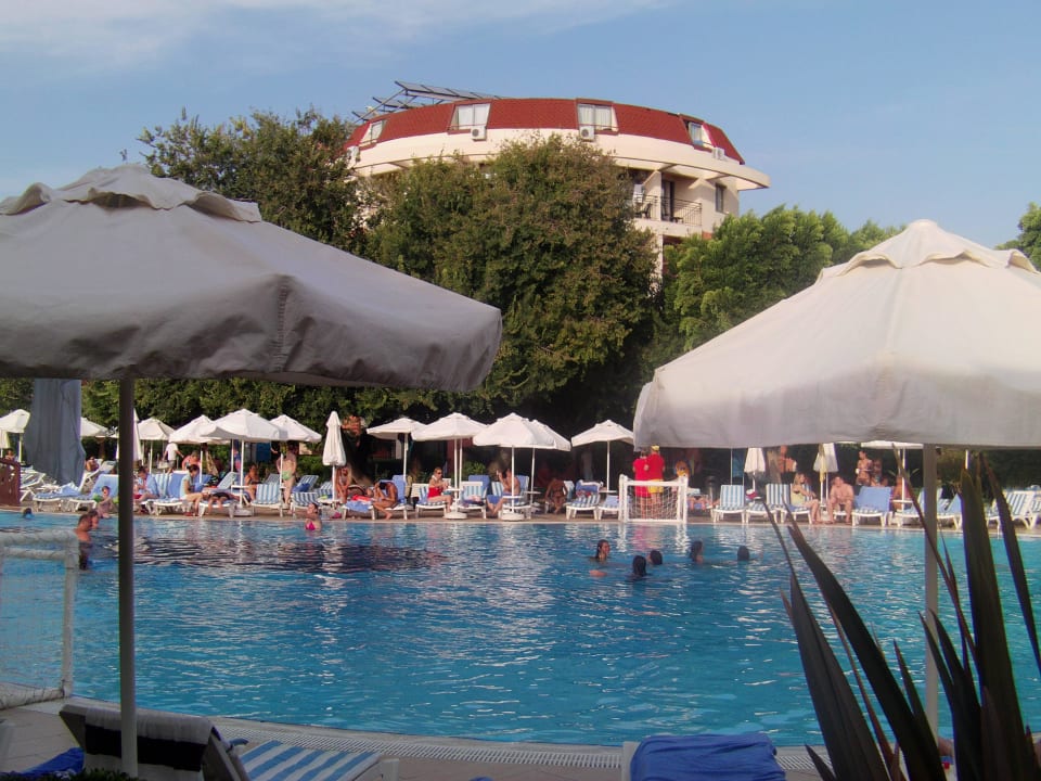 Pool Palmeras Beach Hotel