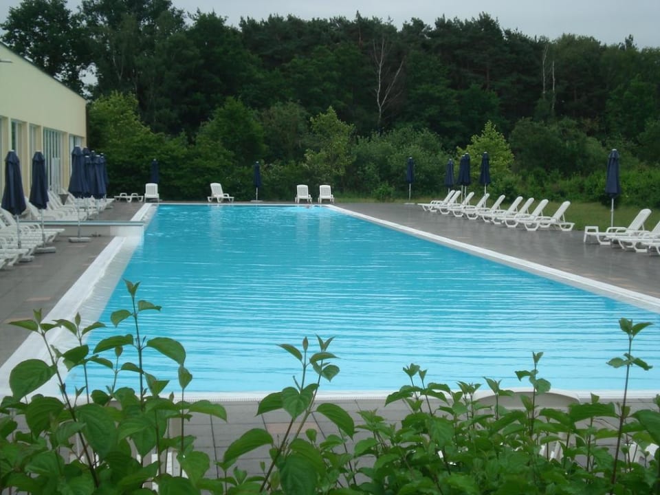 Pool 50 m Dorint Marc Aurel Resort Bad Gögging