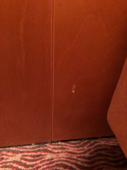 Zimmer Hotel Ahl Meerkatzen