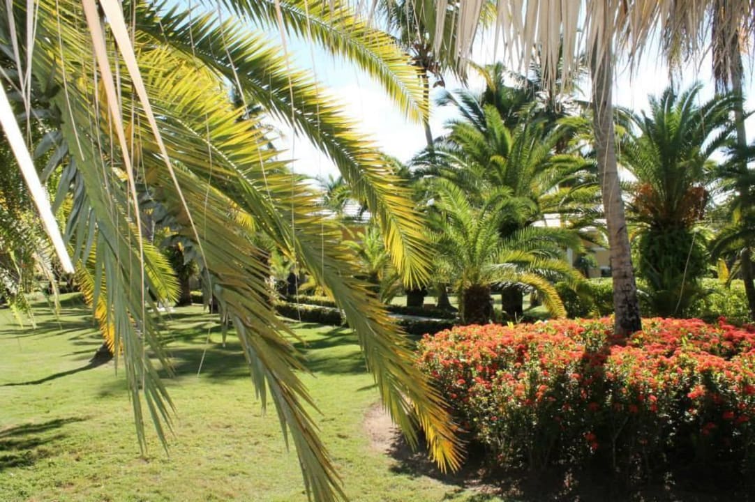 Vom Zug aus Grand Palladium Select Bávaro Resort & Spa