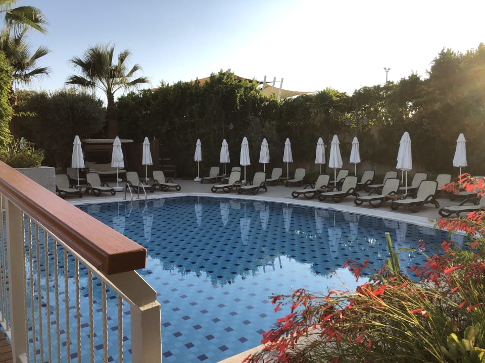 Pool Commodore Elite Suites & Spa - Adults only