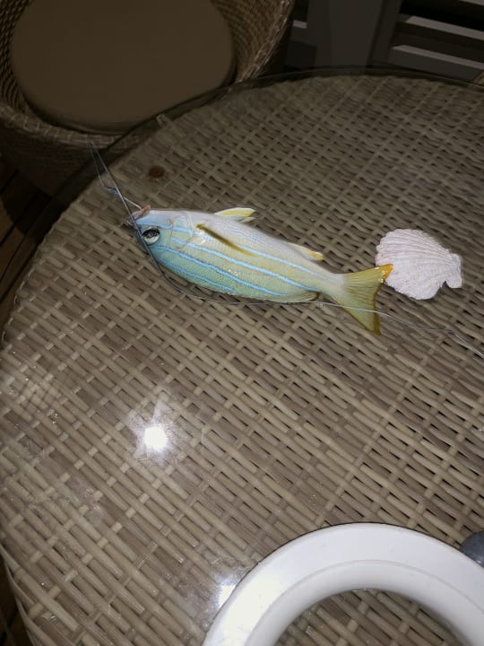 Sport & Freizeit Summer Island Maldives