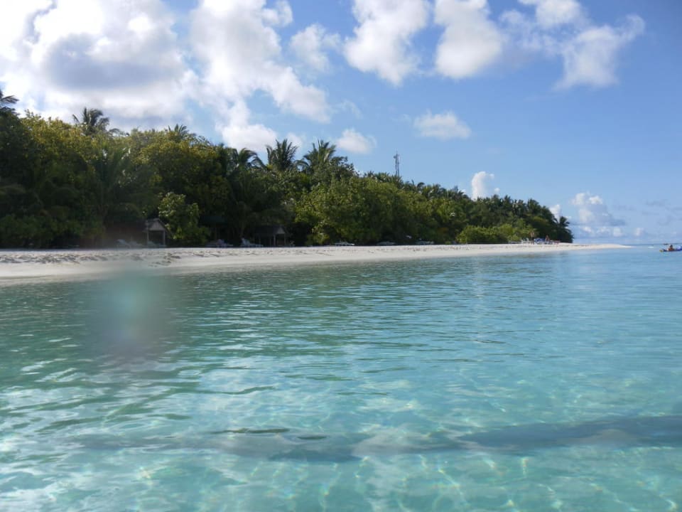 Weißer Sandstrand an der Sonnenseite Summer Island Maldives