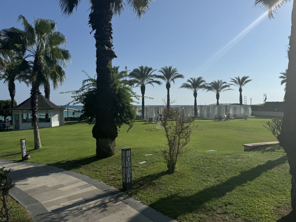 Außenansicht Papillon Ayscha