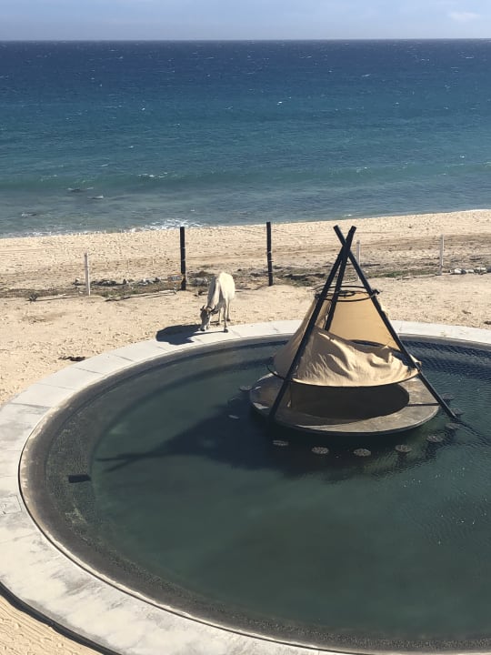 Pool Hotel Vidasoul