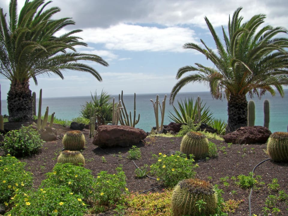 Ausblick - zum Meer R2 Pajara Beach
