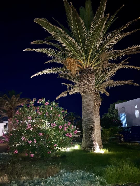 Gartenanlage Civitel Creta Beach