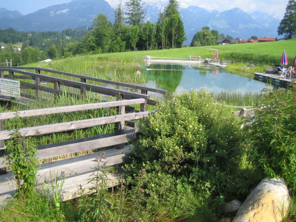 Natur-Schwimmteich Naturhotel Reissenlehen