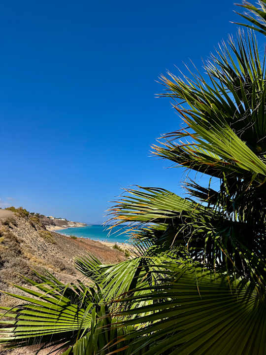 Strand allsun App.-Hotel Esquinzo Beach