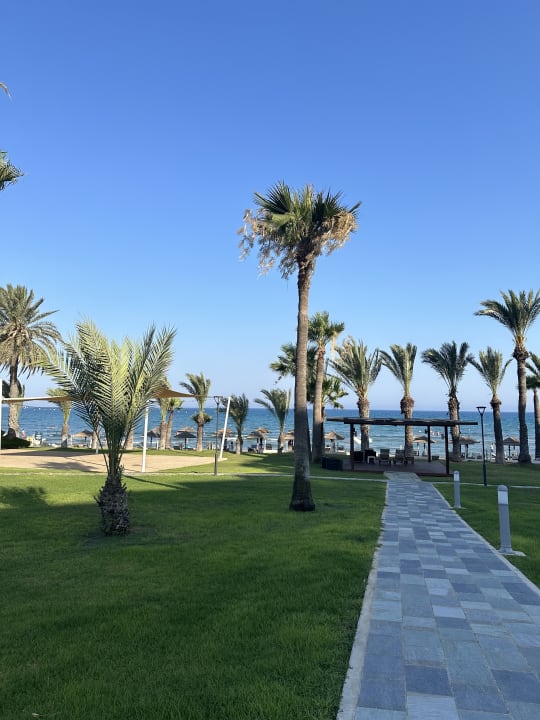 Gartenanlage The Golden Bay Beach Hotel