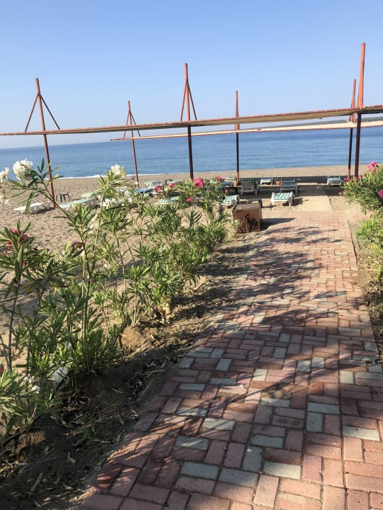 Ausblick Adora Calma Beach Hotel