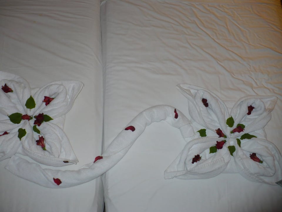Schön  Jaz Makadi Saraya Resort