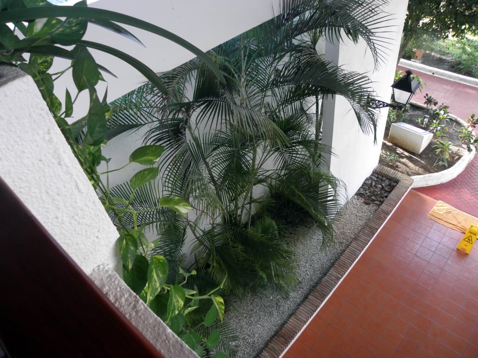 Hotel Occidental Grand Flamenco Punta Cana Occidental Punta Cana