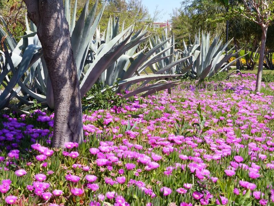 Gartenanlage Dream World Aqua Hotel