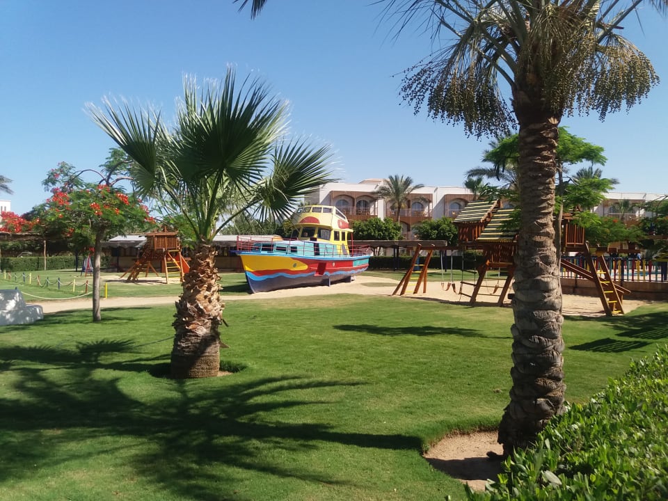 Sport & Freizeit Desert Rose