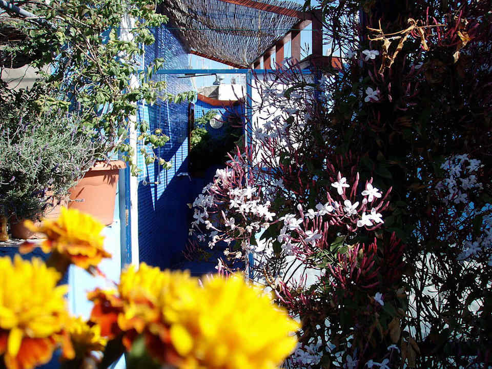 We are green! Hostel Casa Caracol