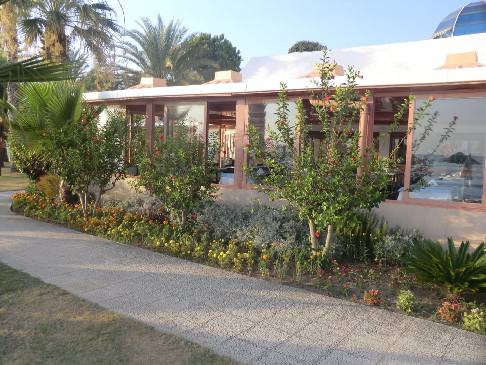 Restaurant von außen Top Hotel