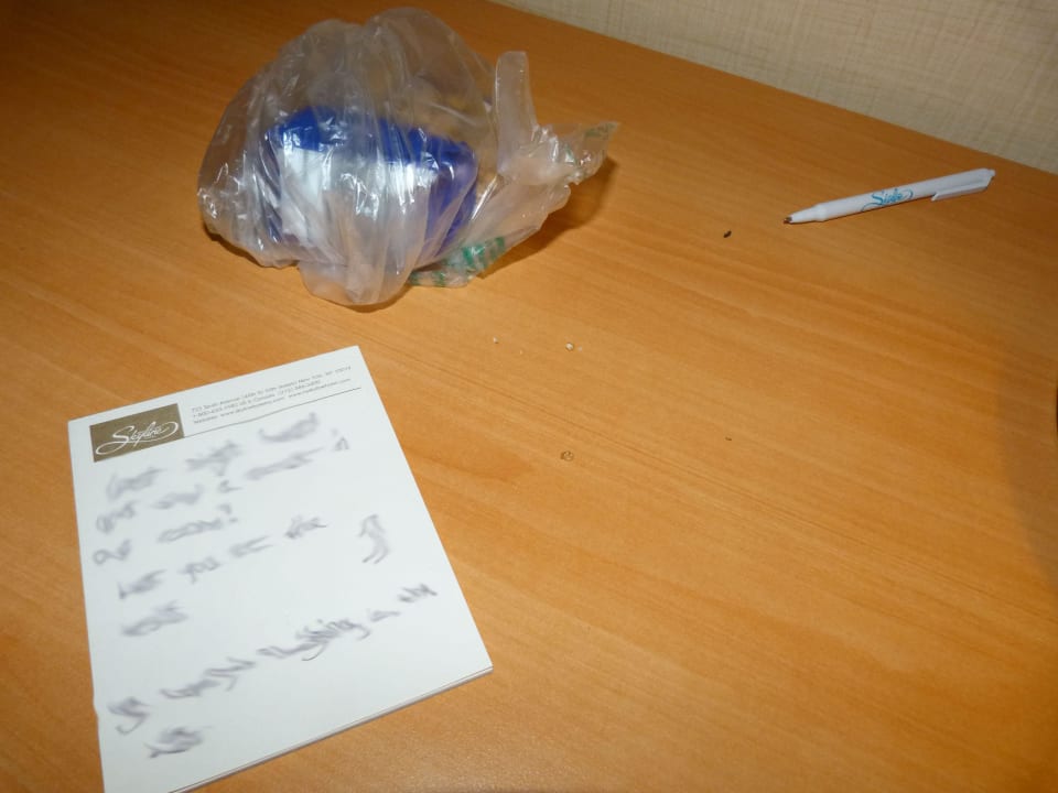 Mäusespuren The Skyline Hotel New York