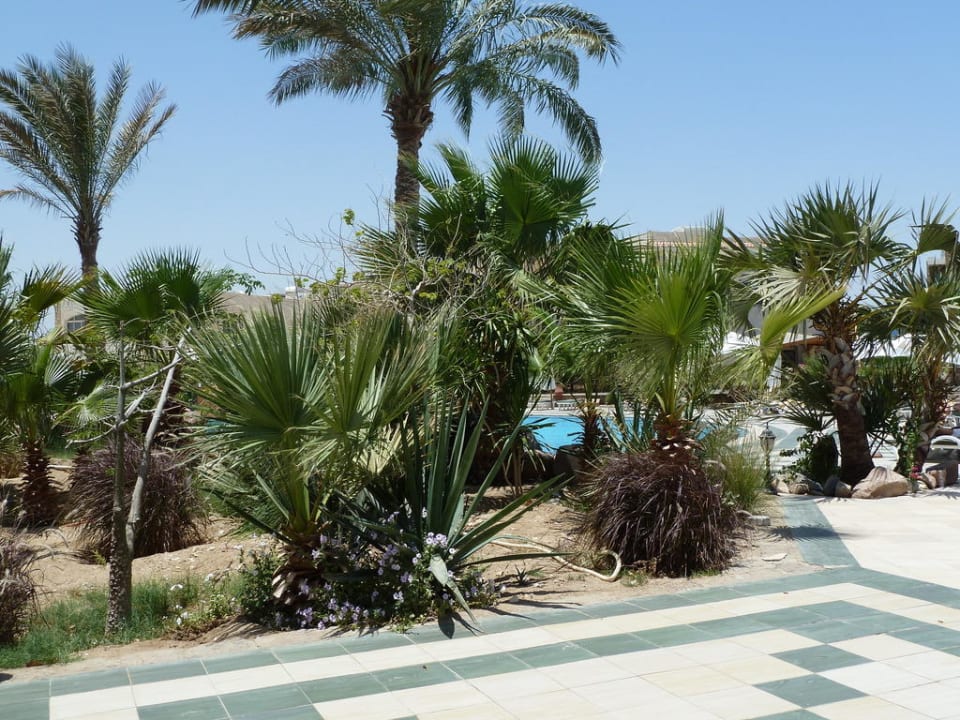 Gartenanlage, Blick Richtung Pool Brayka Bay Resort