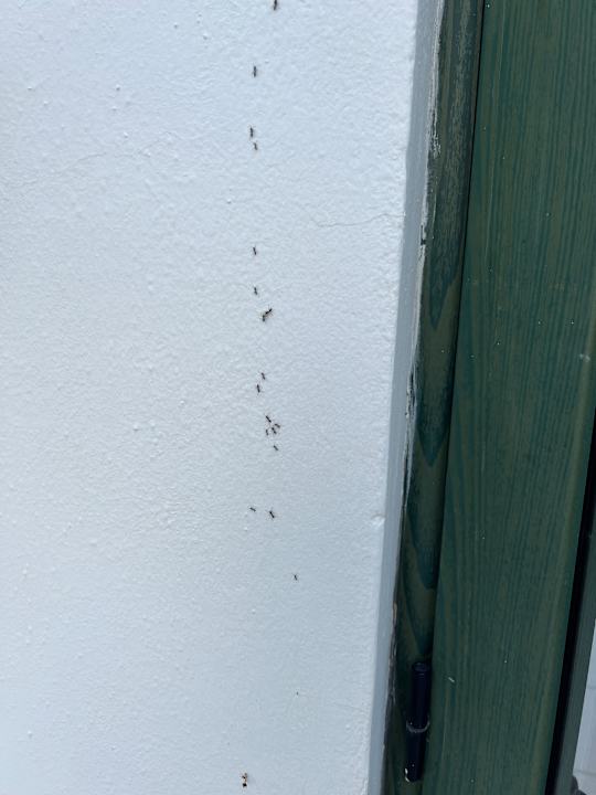 Gastro Aldiana Club Rocca Nettuno Calabria