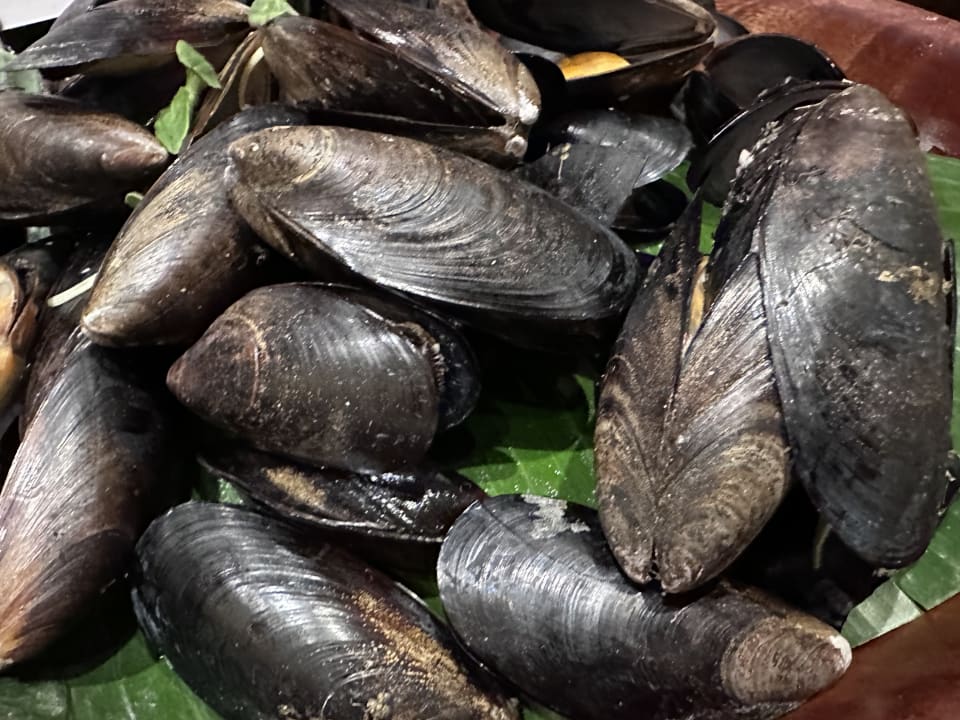 Gastro Steigenberger Resort Ras Soma