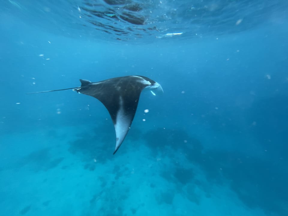 Sport & Freizeit Adaaran Select Meedhupparu Island Resort - Premium All Inclusive