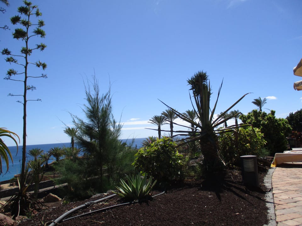 Ausblick R2 Rio Calma Hotel & Spa & Conference