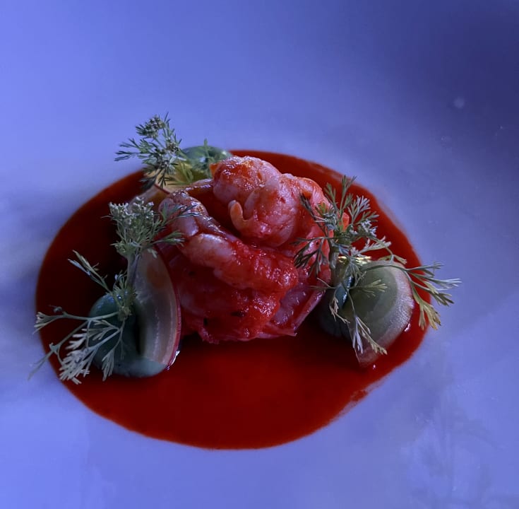 Gastro TRS Yucatan Hotel - Adults only