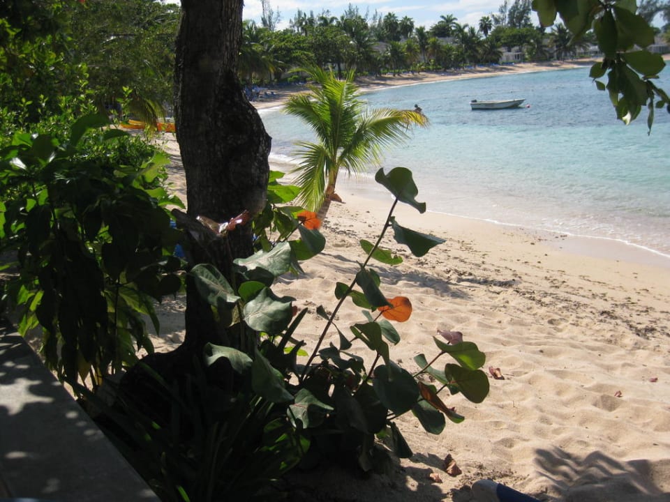 An der Rezeption Half Moon