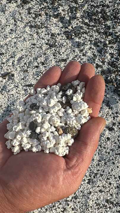 Strand Secrets Bahia Real Resort & SPA