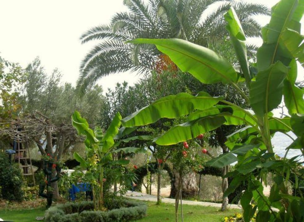 Garten Haus des Gartens / Pension Nikos