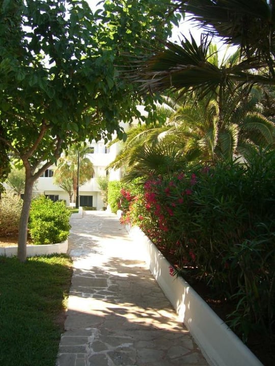 Garten Blue Sea Club Martha’s Resort