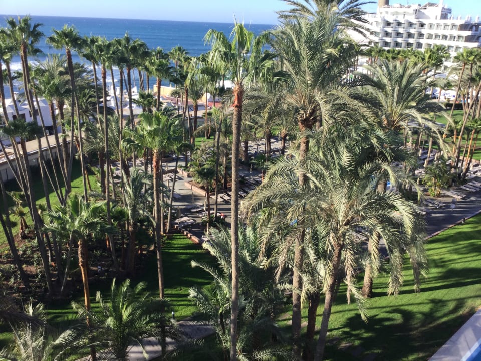 Ausblick Hotel Riu Palace Oasis