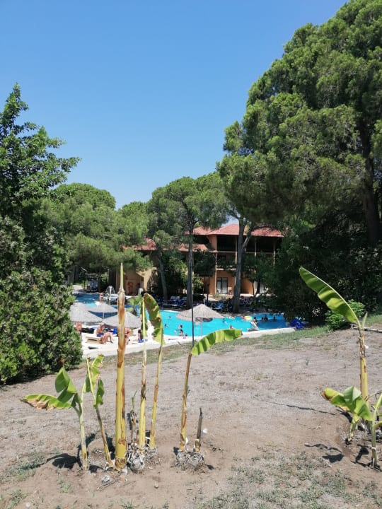 Strand Asteria Family Belek