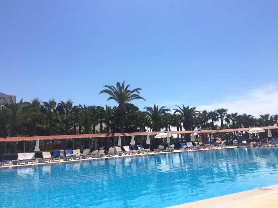 Pool Hotel Miramare Beach