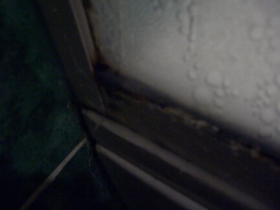 Da wächst der Schimmel Golden Age