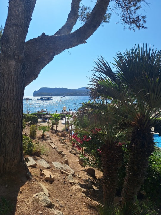 Ausblick Hotel Vibra Beverly Playa