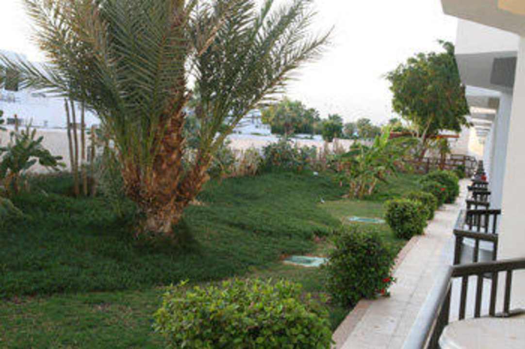 Vom Balkon aus Ghazala Beach