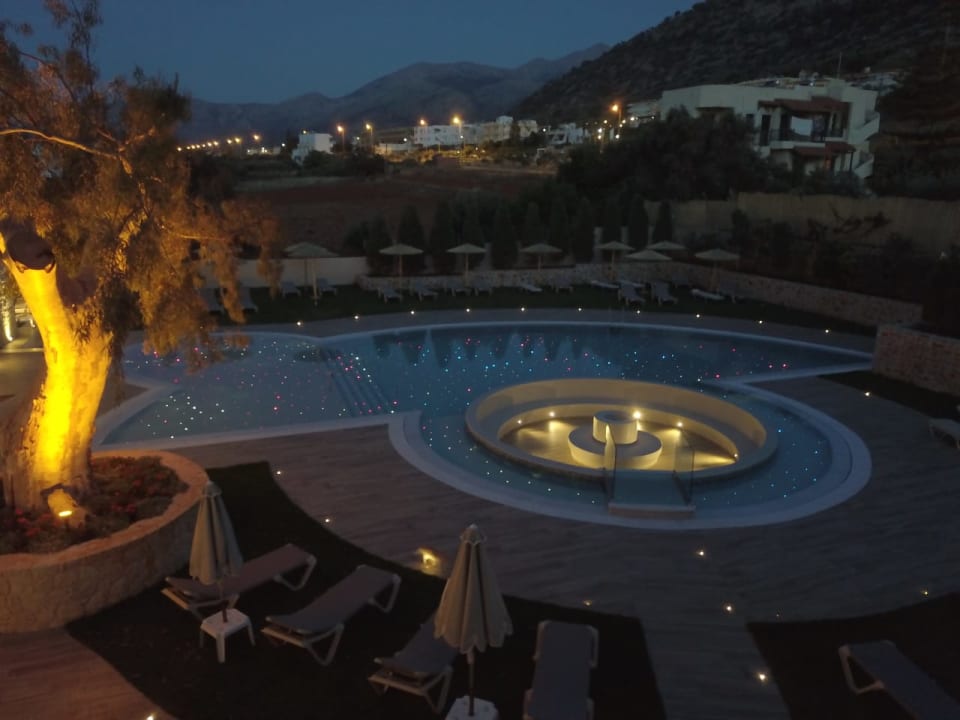 Pool Cactus Royal